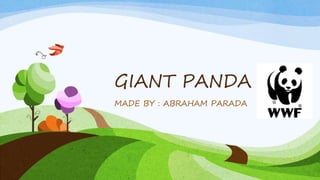 GIANT PANDA
MADE BY : ABRAHAM PARADA
 