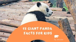 15 GIANT PANDA
FACTS FOR KIDS
By: JomJalan
 