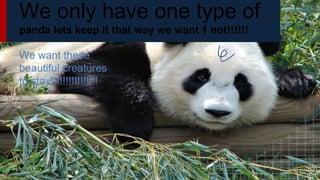 We only have one type of
panda lets keep it that way we want 1 not!!!!!!
We want these
beautiful creatures
to stay!!!!!!!!!!!!!!!!
 