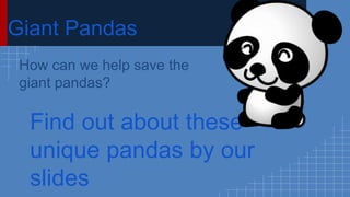 Giant Pandas
Find out about these
unique pandas by our
slides
How can we help save the
giant pandas?
 