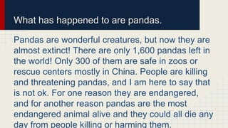 What has happened to are pandas.
Pandas are wonderful creatures, but now they are
almost extinct! There are only 1,600 pandas left in
the world! Only 300 of them are safe in zoos or
rescue centers mostly in China. People are killing
and threatening pandas, and I am here to say that
is not ok. For one reason they are endangered,
and for another reason pandas are the most
endangered animal alive and they could all die any
day from people killing or harming them.
 