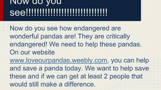 Now do you
see!!!!!!!!!!!!!!!!!!!!!!!!!!!!!!
Now do you see how endangered are
wonderful pandas are! They are critically
endangered! We need to help these pandas.
On our website
www.loveourpandas.weebly.com, you can help
and save a panda today. We want to help save
these and if we can get at least 2 people that
would still make a difference.
 