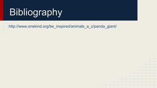Bibliography
http://www.onekind.org/be_inspired/animals_a_z/panda_giant/
 