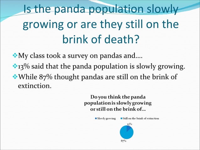 Zoe S Giant Pandas Power Point Ppt Zoe S Giant Pandas Power Point Ppt