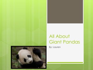 All About
Giant Pandas
By: Lauren
 