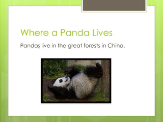 Where a Panda Lives
Pandas live in the great forests in China.
 