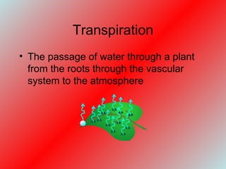Transpiration The passage of water through a plant from the roots through the vascular system to the atmosphere  