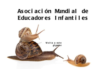 As oc i ac i ón Mundi al de
Educ ador es I nf ant i l es



           Vi s i t a a es t e
                     gi gant e
 