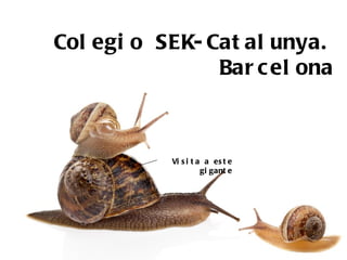 Col egi o SEK- Cat al unya.
                Bar c el ona



           Vi s i t a a es t e
                     gi gant e
 