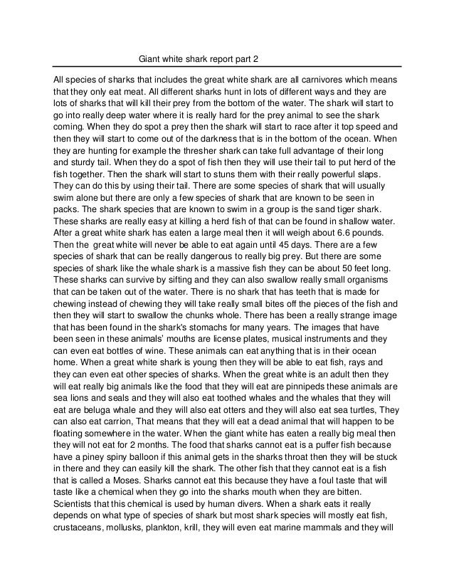 Great white shark behavioral characteristics picture