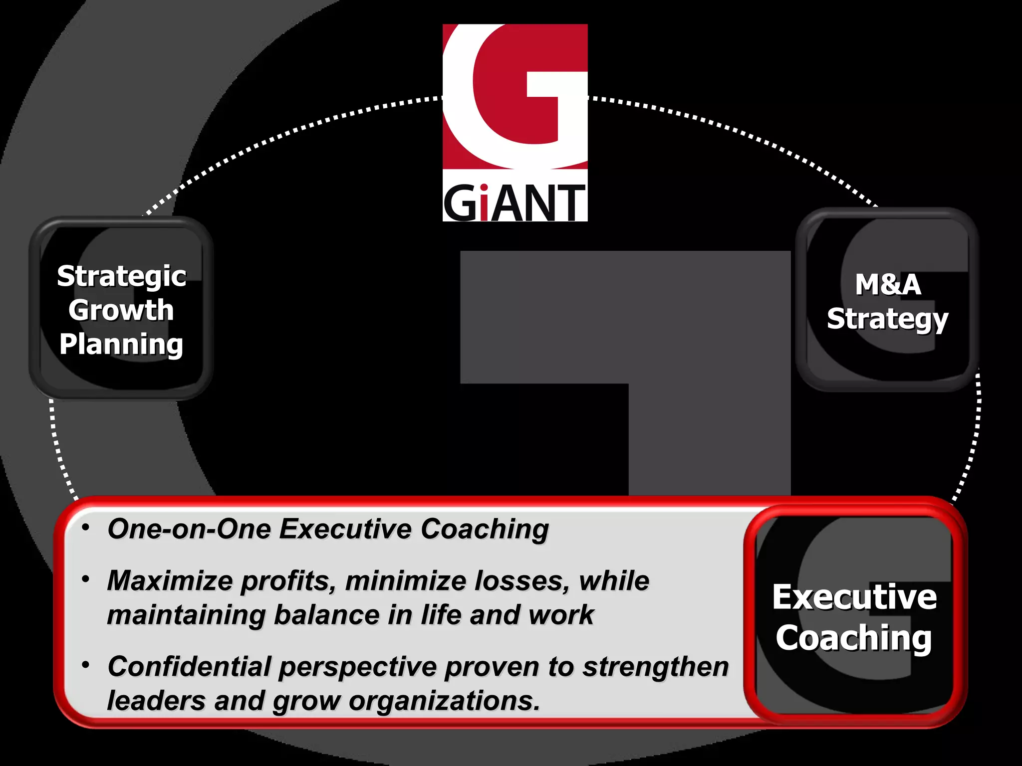 Leadership Training One-on-One Executive Coaching Maximize profits, minimize losses, while  maintaining balance in life and work Confidential perspective proven to strengthen leaders and grow organizations. M&A Strategy Executive Coaching Strategic Growth Planning 