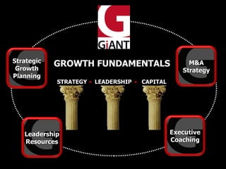 STRATEGY GROWTH FUNDAMENTALS  LEADERSHIP CAPITAL • • M&A Strategy Executive Coaching Leadership Resources Strategic Growth Planning 
