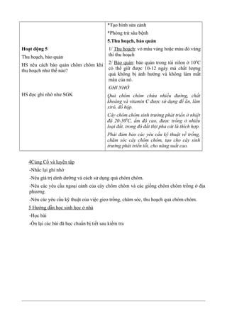 Hoạt động 5
Thu hoạch, bảo quản
HS nêu cách bảo quản chôm chôm khi
thu hoạch như thế nào?
HS đọc ghi nhớ như SGK
*Tạo hình sửa cành
*Phòng trừ sâu bệnh
5.Thu hoạch, bảo quản
1/ Thu hoạch: vỏ màu vàng hoặc màu đỏ vàng
thì thu hoạch
2/ Bảo quản: bảo quản trong túi nilon ở 100
C
có thể giữ được 10-12 ngày mà chất lượng
quả không bị ảnh hưởng và không làm mất
màu của nó.
GHI NHỚ
Quả chôm chôm chứa nhiều đường, chất
khoáng và vitamin C được sử dụng để ăn, làm
xirô, đồ hộp.
Cây chôm chôm sinh trưởng phát triển ở nhiệt
độ 20-300
C, ẩm độ cao, được trồng ở nhiều
loại đất, trong đó đất thịt pha cát là thích hợp.
Phải đảm bảo các yêu cầu kỹ thuật về trồng,
chăm sóc cây chôm chôm, tạo cho cây sinh
trưởng phát triển tốt, cho năng suất cao.
4Củng Cố và luyện tập
-Nhắc lại ghi nhớ
-Nêu giá trị dinh dưỡng và cách sử dụng quả chôm chôm.
-Nêu các yêu cầu ngoại cảnh của cây chôm chôm và các giống chôm chôm trồng ở địa
phương.
-Nêu các yêu cầu kỹ thuật của việc gieo trồng, chăm sóc, thu hoạch quả chôm chôm.
5 Hướng dẫn học sinh học ở nhà
-Học bài
-Ôn lại các bài đã học chuẩn bị tiết sau kiểm tra
 