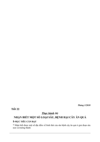 Tháng 1/2010
Tiết 22
Thực hành (tt)
NHẬN BIẾT MỘT SỐ LOẠI SÂU, BỆNH HẠI CÂY ĂN QUẢ
I-MỤC TIÊU CẦN ĐẠT
* Nhận biết được một số đặc đểm về hình thái của sâu bệnh cây ăn quả ở giai đoạn sâu
non và trưởng thành
 