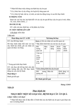 * Nhận biết được triệu chúng của bệnh hại cây ăn quả
* Có ý thức bảo vệ cây trồng, rèn luyện kỹ năng quan sát
* Có ý thức kỹ luật, trật tự, vệ sinh, an toàn lao động trong và sau khi thực hành
II-TRỌNG TÂM
Quan sát: các loại sâu, hại bệnh đối với các cây ăn quả đã học (cây ăn quả có múi, nhãn,
vải, xoài, chôm chôm,...)
III-CHUẨN BỊ
GV: mẫu vật (sâu, bệnh hại, và bộ phận cây bị hại
IV-TIẾN TRÌNH LÊN LỚP
1-Ổn định: kiểm diện
3-Bài mới:
Hoạt động của GV và HS Nội dung bài học
GV: cho HS thực hành
HS thực hành nhận biết một vài loại
sâu, bệnh hại chính, ghi các nhận xét
quan sát được vào bảng
* Trong quá trình thực hành
GV: cần theo dõi để kịp thời uốn nắn
hoặc hướng dẫn cho HS thực hành
đúng các yêu cầu kỹ thuật.
Hoạt động 4
Đánh giá kết quả
Bước 2: Ghi các nhận xét sau khi quan sát
* Đặc điểm hình thái của sâu hại cây ăn quả
Đối
tượng
quan sát
Màu
sắc
Hình
dạng
Kích
thước
(cm)
Đặc
điểm
chính
1.Sâu non
2.Sâu
trưởng
thành
3.Bộ phận
bị hại
*Triệu chứng bệnh hại cây ăn quả
Đối tượng
quang sát
Màu sắc Hình dạng và
đặc điểm
III. Đánh giá kết quả
Tháng 1/2010
Tiết:23
Thực hành (tt)
NHẬN BIẾT MỘT SỐ LOẠI SÂU, BỆNH HẠI CÂY ĂN QUẢ
I.MỤC TIÊU CẦN ĐẠT
* Nhận biết được một số đặc đểm về hình thái của sâu bệnh cây ăn quả ở giai đoạn sâu
non và trưởng thành
 