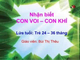 Nhận biết
CON VOI – CON KHỈ
Lứa tuổi: Trẻ 24 – 36 tháng
Giáo viên: Bùi Thị Thêu
 