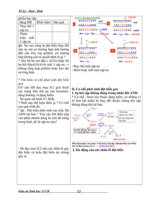 Tổ Lý – Hoá - Sinh
phiếu học tập.
dạng ĐB Khái niệm hậu quả
Thay thê 1
cặp nu
Thêm
hoặc mất
1 cặp nu
gv: Tại sao cùng la đột biến thay thế
cặo nu mà có trường hợp ảnh hưởng
đến cấu trúc của prôtêin ,có trường
hợp không,yếu tố quyết định là gì ?
* nếu bộ ba mở đầu ( AUG) hoặc bộ
ba kết thúc(UGA) bị mất 1 cặp nu →
không tổng hợp prôtêin hoặc kéo dài
sự tổng hợp.
* Tìm hiểu cơ chế phát sinh đột biến
gen
GV cho HS đọc mục II.1 giải thích
các trạng thái tồn tại của bazơnitơ:
dạng thường và dạng hiếm.
hs quan sát hình 4.1 SGK
? hình này thể hiện điều gì ? Cơ chế
của quá trình đó.
* gv : Đột biến phát sinh sau mấy lần
ADN tái bản ? Yêu cầu HS điền tiếp
vào phần nhánh dòng kẻ còn để trống
trong hình, đó là cặp nu nào?
- hs đọc muc II.2 nêu các nhân tố gây
đột biến và kiểu đột biến do chúng
gây ra.
- thay thê một cặp nu
- thêm hoặc mất một cặp nu
II. Cơ chế phát sinh đột biến gen
1. sự kêt cặp không đúng trong nhân đôi AND:
* Cơ chế : bazơ niơ thuộc dạng hiếm ,có những vị
trí liên kết hiđrô bị thay đổi khiến chúng kết cặp
không đúng khi tái bản.
2. tác động của các nhân tố đột biến
Giáo án Sinh học 12 CB 12
 