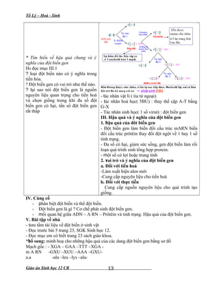 Tổ Lý – Hoá - Sinh
* Tìm hiểu về hậu quả chung và ý
nghĩa của đột biến gen
Hs đọc mục III.1
? loại đột biến nào có ý nghĩa trong
tiến hóa.
? Đột biến gen có vai trò như thế nào.
? tại sao nói đột biến gen là nguồn
nguyên liệu quan trọng cho tiến hoá
và chọn giống trong khi đa số đột
biến gen có hại, tần số đột biến gen
rất thấp
- tác nhân vật lí ( tia tử ngoại)
- tác nhân hoá học( 5BU) : thay thế cặp A-T bằng
G-X
- Tác nhân sinh học( 1 số virut) : đột biến gen
III. Hậu quả và ý nghĩa của đột biến gen
1. hậu quả của đôt biến gen
- Đột biến gen làm biến đổi cấu trúc mARN biến
đổi cấu trúc prôtêin thay đổi đột ngột về 1 hay 1 số
tính trạng.
- Đa số có hại, giảm sức sống, gen đột biến làm rối
loạn quá trình sinh tổng hợp protein.
- một số có lợi hoặc trung tính
2. vai trò và ý nghĩa của đột biến gen
a. Đối với tiến hoá
-Làm xuất hiện alen mới
-Cung cấp nguyên liệu cho tiến hoá
b. Đối với thực tiễn
Cung cấp nguồn nguyên liệu cho quá trình tạo
giống.
IV. Củng cố
- phân biệt đột biến và thể đột biến.
- Đột biến gen là gì ? Cơ chế phát sinh đột biến gen.
- mối quan hệ giữa ADN – A RN – Prôtêin và tính trạng. Hậu quả của đột biến gen.
V. Bài tập về nhà
- sưu tầm tài liệu về đột biến ở sinh vật
- Đọc trước bài 5 trang 23, SGK Sinh học 12.
- Đọc mục em có biết trang 23 sách giáo khoa.
*bổ sung: minh hoạ cho những hậu quả của các dang đột biến gen bằng sơ đồ
Mạch gốc : - XGA – GAA –TTT –XGA -
m A RN -GXU –XUU –AAA –GXU-
a.a -ala –leu –lys –ala-
Giáo án Sinh học 12 CB 13
 