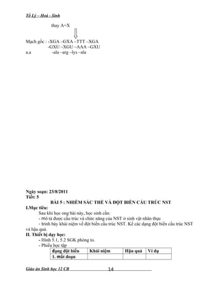 Tổ Lý – Hoá - Sinh
thay A=X
Mạch gốc : -XGA –GXA –TTT –XGA
-GXU –XGU –AAA –GXU
a.a -ala –arg –lys –ala
Ngày soạn: 23/8/2011
Tiết: 5
BÀI 5 : NHIỄM SẮC THỂ VÀ ĐỘT BIẾN CẤU TRÚC NST
I.Mục tiêu:
Sau khi học ong bài này, học sinh cần:
- mô tả được cấu trúc và chức năng của NST ở sinh vật nhân thực
- trình bày khái niệm về đột biến cấu trúc NST. Kể các dạng đột biến cấu trúc NST
và hậu quả.
II. Thiết bị dạy học:
- Hình 5.1, 5.2 SGK phóng to.
- Phiếu học tập
dạng đột biến Khái niệm Hậu quả Ví dụ
1. mất đoạn
Giáo án Sinh học 12 CB 14
 