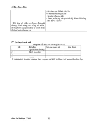 Tổ Lý – Hoá - Sinh
GV tổng kết nhận xét chung. đánh giá
những thành công của từng cá nhân,
những kinh nghiệm rút ra từ chính thực
tế thực hành của các em
giác nhỏ ,sau đó bội giác lớn
b. hs thao tác thực hành
- làm theo hướng dẫn
- Đêm số lượng và quan sát kỹ hình thái từng
NST để vẽ vào vở
IV. Hướng dẫn về nhà
từng HS viết báo cáo thu hoạch vào vở
stt Tiêu bản kết quả quan sát giải thích
1 người bình thường
2 bệnh nhân đao
3 …………….
4 ……..
2. mô tả cách làm tiêu bản tạm thời và quan sát NST ở tế bào tinh hoàn châu chấu đực
Giáo án Sinh học 12 CB 23
 