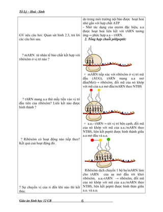 Tổ Lý – Hoá - Sinh
GV nêu câu hỏi: Quan sát hình 2.3, trả lời
các câu hỏi sau.
? mARN từ nhân tế bào chất kết hợp với
ribôxôm ở vị trí nào ?
? tARN mang a.a thứ mấy tiến vào vị trí
đầu tiên của ribôxôm? Liên kết nào được
hình thành ?
? Ribôxôm có hoạt động nào tiếp theo?
Kết quả cuả hoạt động đó.
? Sự chuyển vị của ri đến khi nào thì kết
thúc.
do trong môi trường nội bào được hoạt hoá
nhờ gắn với hợp chất ATP
- Nhờ tác dụng của enzim đặc hiệu, a.a
được hoạt hoá liên kết với tARN tương
ứng→ phức hợp a.a – tARN.
2. Tổng hợp chuỗi pôlipeptit:
+ mARN tiếp xúc với ribôxôm ở vị trí mã
đầu (AUG), tARN mang a.a mở
đầu(Met)→ ribôxôm, đối mã của nó khớp
với mã của a.a mở đầu/mARN theo NTBS
+ a.a1- tARN→ tới vị trí bên cạnh, đối mã
của nó khớp với mã của a.a1/mARN theo
NTBS, liên kết peptit được hình thành giữa
a.a mở đầu và a.a1
Ribôxôm dịch chuyển 1 bộ ba/mARN làm
cho tARN của aa mở đầu rời khỏi
ribôxôm, a.a2-tARN → ribôxôm, đối mã
của nó khớp với mã của a.a2/mARN theo
NTBS, liên kết peptit được hình thàn giữa
a.a1 và a.a2
Giáo án Sinh học 12 CB 6
 