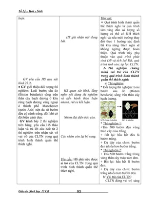 Tổ Lý – Hoá - Sinh
luận.
GV yêu cầu HS qua sát
hình 27.2.
♦ GV giới thiệu đối tượng thí
nghiệm: Loài bướm sâu đo
(Biston betularia) sống trên
thân cây bạch dương ở khu
rừng bạch dương vùng ngoại
ô thành phố Manchester
(nước Anh) nên đa số bướm
đều có cánh trắng, đôi khi có
đột biến cánh đen.
GV trình bày 2 thí nghiệm
trên bảng, yêu cầu HS thảo
luận và trả lời câu hỏi: từ 2
thí nghiệm trên nhận xét về
vai trò của CLTN trong quá
trình hình thành quần thể
thích nghi.
HS ghi nhận nội dung
bài.
HS quan sát hình, lắng
nghe nội dung thí nghiệm
và tiến hành thảo luận
nhanh, rút ra kết luận.
Nhóm đại diện báo cáo.
Các nhóm còn lại bổ sung.
Yêu cầu: HS phải nêu được
ai trò của CLTN trong quá
trình hình thành quần thể
thích nghi.
Tóm lại:
 Quá trình hình thành quần
thể thích nghi là quá trình
làm tăng dần số lượng số
lượng cá thể có KH thích
nghi và nếu môi trường thay
đổi theo 1 hướng xác định
thì khả năng thích nghi sẽ
không ngừng được hoàn
thiện. Quá trình này phụ
thuộc vào quá trình phát
sinh ĐB và tích luỹ ĐB; quá
trình sinh sản; áp lực CLTN.
2- Thí nghiệm chứng
minh vai trò của CLTN
trong quá trình hình thành
quần thể thích nghi:
a/ Thí nghiệm:
* Đối tượng thí nghiệm: Loài
bướm sâu đo (Biston
betularia) sống trên thân cây
bạch dương.
MT chưa ô nhiễm MT ô nhiễm
* Thí nghiệm 1:
+Thả 500 bướm đen vùng
thân cây màu trắng.
+ Bắt lại: hầu hết đều là
bướm trắng.
+ Dạ dày của chim: bướm
đen nhiều hơn bướm trắng.
* Thí nghiệm 2:
+ Thả 500 bướm trắng trong
vùng thân cây màu xám đen.
+ Bắt lại: hầu hết là bướm
đen.
+ Dạ dày của chim: bướm
trắng nhiều hơn bướm đen.
b/ Vai trò của CLTN:
CLTN đóng vai trò sàng
Giáo án Sinh học 12 CB 93
 