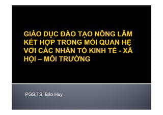 PGS.TS. Bảo Huy
y
 
