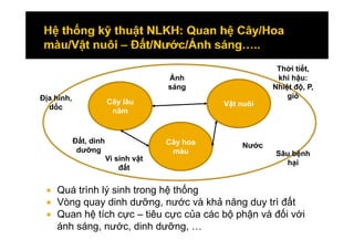 Giao duc NLKH quan he voi KTXHMT - Bao Huy.pdf