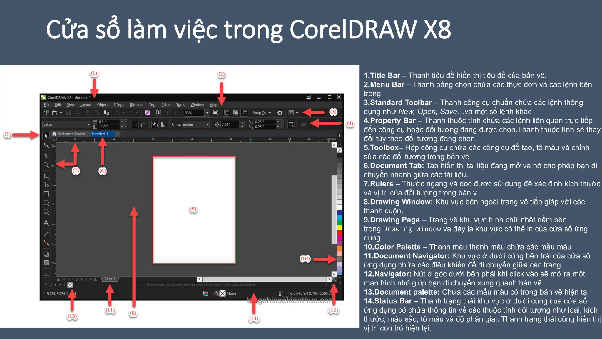 Cửa sổ làm việc trong CorelDRAW X8
1.Title Bar – Thanh tiêu đề hiển thị tiêu đề của bản vẽ.
2.Menu Bar – Thanh bảng chọn chứa các thực đơn và các lệnh bên
trong.
3.Standard Toolbar – Thanh công cụ chuẩn chứa các lệnh thông
dụng như New, Open, Save…và một số lệnh khác
4.Property Bar – Thanh thuộc tính chứa các lệnh liên quan trực tiếp
đến công cụ hoặc đối tượng đang được chọn.Thanh thuộc tính sẽ thay
đổi tùy theo đối tượng đang chọn.
5.Toolbox– Hộp công cụ chứa các công cụ để tạo, tô màu và chỉnh
sửa các đối tượng trong bản vẽ
6.Document Tab: Tab hiển thị tài liệu đang mở và nó cho phép bạn di
chuyển nhanh giữa các tài liệu.
7.Rulers – Thước ngang và dọc được sử dụng để xác định kích thước
và vị trí của đối tượng trong bản v
8.Drawing Window: Khu vực bên ngoài trang vẽ tiếp giáp với các
thanh cuộn.
9.Drawing Page – Trang vẽ khu vực hình chữ nhật nằm bên
trong Drawing Window và đây là khu vực có thể in của cửa sổ ứng
dụng
10.Color Palette – Thanh màu thanh màu chứa các mẫu màu
11.Document Navigator: Khu vực ở dưới cùng bên trái của cửa sổ
ứng dụng chứa các điều khiển để di chuyển giữa các trang
12.Navigator: Nút ở góc dưới bên phải khi click vào sẽ mở ra một
màn hình nhỏ giúp bạn di chuyển xung quanh bản vẽ
13.Document palette: Chứa các mẫu màu có trong bản vẽ hiện tại
14.Status Bar – Thanh trạng thái khu vực ở dưới cùng của cửa sổ
ứng dụng có chứa thông tin về các thuộc tính đối tượng như loại, kích
thước, màu sắc, tô màu và độ phân giải. Thanh trạng thái cũng hiển thị
vị trí con trỏ hiện tại.
 