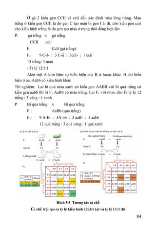 Giao trinh di truyen y hoc | PDF