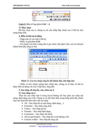MICROSOFT EXCEL                                            Giáo trình Excel căn bản




      Cách 2: Bấm tổ hợp phím Ctrl + A
       3.7 Hủy chọn
       Để hủy chọn các ô, chúng ta chỉ cần nhắp đúp chuột vào ô bất kỳ trên
trang bảng tính.
      4. Điền số thứ tự tự động
      - Nhập một số vào một ô bất kỳ
      - Nhấn và giữ phím Ctrl
      - Trỏ chuột vào hình vuông nhỏ ở góc dưới, bên phải ô đó, con trỏ chuyển
thành hình dấu cộng có mũ.




        Hình 13. Con trỏ chuột chuyển đổi thành dấu chữ thập đen
      - Nhấn và kéo chuột xuống theo chiều dọc, chúng ta sẽ thấy số thứ tự
được điền tự động vào các ô tiếp theo, tăng dần.
      5. Sao chép, di chuyển, xóa, chèn các ô
      5.1 Sao chép các ô
      Thao tác sao chép một ô trong Excel không chỉ bao gồm sao chép nội
dung, định dạng của ô đó. Chúng ta có thể nhìn thấy trong bảng dưới đây nhiều
mục lựa chọn khi dán một ô đã sao chép.
           All – Sao chép tất cả (nội dung, định dạng…)
           Formulas – Sao chép công thức
           Values – Sao chép giá trị
           Formats – Sao chép định dạng
           Comments – Sao chép chú thích
           All except borders – Sao chép tất cả trừ đường viền
           Column widths – Sao chép độ rộng cột

                          NGUYỄN ĐỨC CẢNH
                  WEBSITE - http://nguyenduccanh.name.vn
 