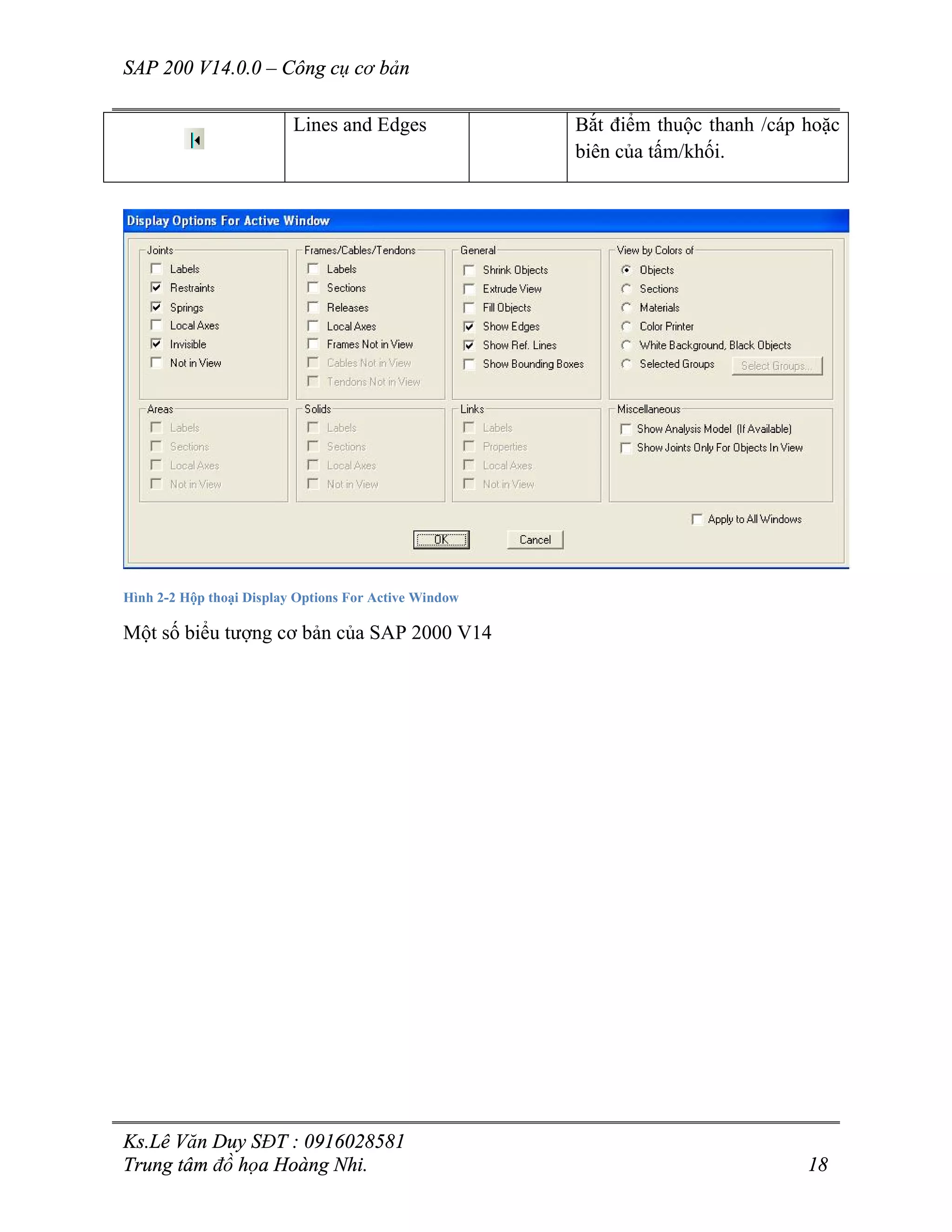 SAP 200 V14.0.0 – Công cụ cơ bản
Ks.Lê Văn Duy SĐT : 0916028581
Trung tâm đồ họa Hoàng Nhi. 18
Lines and Edges Bắt điểm thuộc thanh /cáp hoặc
biên của tấm/khối.
Hình 2-2 Hộp thoại Display Options For Active Window
Một số biểu tượng cơ bản của SAP 2000 V14
 