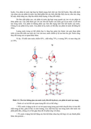 hydro. Các phân tử nước tập hợp lại thành mạng lưới nhờ các liên kết hydro. Bản chất dịnh 
vào nhau của các phân tử nước xác định phần lớn các tính chất đặc biệt của nó, như sức căng 
bề mặt, nhiệt năng cao, hấp thu nhiều nhiệt lượng, ít thay đổi nhiệt... 
Do bản chất phân cực, các phân tử nước tập hợp xung quanh các ion và các phân tử 
khác phân cực. Các chất tham gia với các liên kết hydro của nước gọi là ưa nước và dễ hoà 
tan trong nước. Các phân tử không phân cực làm đứt mạng lưới liên kết hydro của nước. 
Chúng là các phân tử kỵ nước. Các phân tử kỵ nước có thể đẩy các phân tử nước để đứng kề 
nhau. 
Lượng nước trong cơ thể nhiều hay ít, tăng hay giảm tùy thuộc vào giai đoạn phát 
triển và trao đổi chất của sinh vật. Lúc còn non, nước chiếm tỷ lệ cao hơn lúc già. Nước cũng 
thay đổi trong các cơ quan khác nhau. 
Ví dụ : Ở chất xám nước chiếm 85% , chất trắng 75%, ở xương 20% và men răng chỉ 
có 10%. 
Hình 1.2. Cấu trúc không gian của nước (a,b), liên kết hydro(c), các phân tử nước tạo mạng 
- Nước có vai trò hết sức quan trọng đối với cơ thể sống : 
+ 95% nước ở dạng tự do có vai trò quan trọng trong quá trình chuyển hóa và trao đổi 
chất trong tế bào, giữa tế bào và môi trường. Các chất hóa học tan trong nước nhờ nước mà 
phân phối đều, chúng có cơ hội gặp nhau để rồi phản ứng với nhau. 
+ 5% nước ở dạng liên kết bằng các liên kết khác nhau hay kết hợp với các thành phần 
khác như protein ... 
10 
 