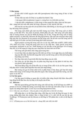 5. Bào tương 
60 
Tế bào chất là khối nguyên sinh chất (protoplasma) nằm trong màng tế bào và bao 
quanh lấy nhân. 
Tế bào chất của một số tế bào có sự phân hóa thành 2 lớp: 
- Lớp ngoại chất (exoplasma) ở ngoại vi, mỏng hơn và có độ nhớt cao hơn. 
- Lớp nội chất ( endoplasma ) ở bên trong và bao quanh lấy nhân, chứa các bào quan 
như : mạng lưới nội sinh chất, phức hệ Golgi, ribosome, ty thể, lạp thể, thể lido... 
Nếu loại bỏ các bào quan thì còn lại khối tế bào chất không có cấu trúc-gọi là chất nền 
hay thể trong suốt (cytosol). 
Thể trong suốt chiếm gần một nửa khối lượng của tế bào. Thể trong suốt có nhiều 
nước, có thể đến 85%. Sau nước là protein, thành phần chủ yếu. Thể trong suốt chứa đựng 
một số lượng protein sợi xếp lại thành bộ khung của tế bào. Trong thể trong suốt có hàng 
nghìn enzymee và chứa đầy ribosome để tổng hợp protein. Gần một nửa enzymee được tổng 
hợp nên trên các ribosome là các protein của thể trong suốt. Do đó nên xem thể trong suốt là 
một khối gel có tổ chức cao hơn là một dung dịch chứa enzymee. 
Ngoài protein ra trong thể trong suốt còn có các loại ARN như mARN, tARN chiếm 
10% ARN của tế bào. Trong thể trong suốt còn có các chất như : lipid, glucid, acid amin, 
nucleoside, nucleotid và các ion. Thỉnh thoảng có các hạt dầu và hạt glycogen với số lượng 
thay đổi và có thể mang từ vùng này qua vùng khác tùy hoạt tính của tế bào. 
Thể trong suốt giữ nhiều chức năng quan trọng như : 
- Là nơi thực hiện các phản ứng trao đổi chất của tế bào, là nơi gặp nhau của chuỗi phản 
ứng trao đổi chất. Sự biến đổi trạng thái vật lý của thể trong suốt có thể ảnh hưởng đến 
hoạt động của tế bào. 
- Nơi thực hiện một số quá trình điều hòa hoạt động của các chất. 
- Nơi chứa các vật liệu dùng cho các phản ứng tổng hợp các đại phân tử sinh học như 
các glucid, lipid, glycogen. 
Mọi hoạt động sống của tế bào đều xảy ra trong tế bào chất và do các bào quan riêng 
biệt phụ trách và được phối hợp điều hòa một cách nhịp nhàng. 
Bào tương còn gọi là tế bào chất là tất cả phần thuộc tế bào được giới hạn bởi màng 
nhân ở bên trong và bởi màng tế bào phía bên ngoài. Bào tương gồm dịch bào tương, các bào 
quan và các thể vùi. 
6. Các bào quan. 
Các bào quan là những cơ quan nhỏ với nhiều chức năng chuyên biệt khác nhau phối 
hợp đồng bộ để đảm bảo cho sự sống và di truyền của tế bào. 
6.1. Ribosom : 
Một bào quan không giới hạn bởi màng sinh chất nội bào, là thể kết hợp của rARN và 
protein có rải rác ở khắp bào tương, tự do hoặc bám vào lưới nội sinh chất có hạt và vào mặt 
ngoài của màng nhân ngoài. Là nơi xảy ra sự tổng hợp protein tế bào. 
6.1.1. Cấu trúc của ribosom : ribosom gồm có hai phân đơn vị liên kết với nhau 
Mỗi phân đơn vị có độ lắng khác nhau. (Độ lắng tức là tốc độ lắng khi quay ly tâm 
trong những điều kiện tiêu chuẩn). Đơn vị lắng là đơn vị S ( chữ viết tắt của tên tác giả 
Svedberg) . Ở Prokaryota toàn bộ ribosom có độ lắng là 70S (phân đơn vị nhỏ có độ lắng là 
50S). 
6.1.2. Ở Eukaryota con số đó lần lượt là : chung 80S, nhỏ 40S, lớn 60S 
 