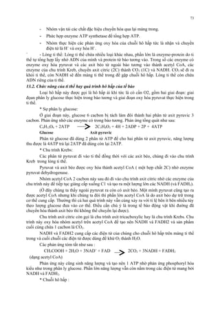 - Nhóm vận tải các chất đặc hiệu chuyển hóa qua lại màng trong. 
- Phức hợp enzyme ATP synthetase để tổng hợp ATP. 
- Nhóm thực hiện các phản ứng oxy hóa của chuỗi hô hấp tức là nhận và chuyền 
điện tử là H+ và oxy hóa H+. 
` - Lòng ti thể: Lòng ti thể chứa nhiều loại khác nhau, phần lớn là enzyme-protein do ti 
thể tự tổng hợp lấy nhờ ADN của mình và protein từ bào tương vào. Trong số các enzyme có 
enzyme oxy hóa pyruvat và các axit béo từ ngoài bào tương vào thành acetyl CoA, các 
enzyme của chu trình Kreb, chuyển axit citric (2C) thành CO2 (1C) và NADH. CO2 sẽ đi ra 
khỏi ti thể, còn NADH sẽ đến màng ti thể trong để gặp chuỗi hô hấp. Lòng ti thể còn chứa 
ADN riêng của ti thể. 
13.2. Chức năng của ti thể hay quá trình hô hấp của tế bào 
Loại hô hấp này được gọi là hô hấp ái khí tức là có cần O2, gồm hai giai đoạn: giai 
đọan phân ly glucose thực hiện trong bào tương và giai đoạn oxy hóa pyruvat thực hiện trong 
ti thể. 
* Sự phân ly glucose: 
Ở giai đoạn này, glucose 6 cacbon bị tách làm đôi thành hai phân tử axit pyruvic 3 
cacbon. Phản ứng nhờ các enzyme có trong bào tương. Phản ứng tổng quát như sau: 
C6H12O6 + 2ATP 2C3H4O3 + 4H + 2ADP + 2P + 4ATP 
Glucose Axit pyruvic 
Phân tử glucose đã dùng 2 phân tử ATP để cho hai phân tử axit pyruvic, năng lượng 
thu được là 4ATP trả lại 2ATP đã dùng còn lại 2ATP. 
* Chu trình Krebs: 
Các phân tử pyruvat đi vào ti thể đồng thời với các axit béo, chúng đi vào chu trình 
Kreb trong lòng ti thể. 
Pyruvat và axit béo được oxy hóa thành acetyl CoA ( một hợp chất 2C) nhờ enzyme 
pyruvat dehydrogenase. 
Nhóm acetyl CoA 2 cacbon này sau đó đi vào chu trình axit citric nhờ các enzyme của 
chu trình này để tiếp tục giáng cấp xuống C1 và tạo ra một lượng lớn các NADH (và FADH2). 
(Ở đây chúng ta thấy ngoài pyruvat ra còn có axit béo. Một mình pyruvat cũng tạo ra 
được acetyl CoA nhưng khi chúng ta đói thì phần lớn acetyl CoA là do axit béo dự trữ trong 
cơ thể cung cấp. Thường thì cả hai quá trình này vẫn cùng xảy ra với tỉ lệ bên ít bên nhiều tùy 
theo lượng glucose đưa vào cơ thể. Điều cần chú ý là trong tế bào động vật khi đường đã 
chuyển hóa thành axit béo thì không thể chuyển lại được). 
Chu trình axit citric còn gọi là chu trình axit tricacboxylic hay là chu trình Krebs. Chu 
trình này oxy hóa nhóm acetyl trên acetyl CoA để tạo nên NADH và FADH2 và sản phẩm 
cuối cùng chứa 1 cacbon là CO2. 
NADH và FADH2 cung cấp các điện tử của chúng cho chuỗi hô hấp trên màng ti thể 
trong và cuối chuỗi các điện tử được dùng để khử O2 thành H2O. 
Các phản ứng tóm tắt như sau : 
CH3COOH + 2H2O + 3NAD+ + FAD 2CO2 + 3NADH + FADH2 
(dạng acetyl CoA) 
Phản ứng này cũng sinh năng lượng và tạo nên 1 ATP nhờ phản ứng phosphoryl hóa 
kiểu như trong phân ly glucose. Phần lớn năng lượng vẫn còn nằm trong các điện tử mang bởi 
NADH và FADH2. 
* Chuỗi hô hấp : 
73 
 