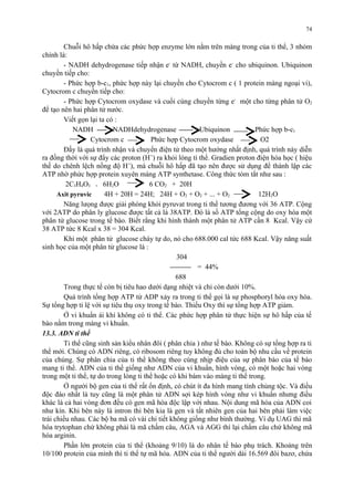 74 
Chuỗi hô hấp chứa các phức hợp enzyme lớn nằm trên màng trong của ti thể, 3 nhóm 
chính là: 
- NADH dehydrogenase tiếp nhận e- từ NADH, chuyền e- cho ubiquinon. Ubiquinon 
chuyền tiếp cho: 
- Phức hợp b-c1, phức hợp này lại chuyền cho Cytocrom c ( 1 protein màng ngoại vi), 
Cytocrom c chuyền tiếp cho: 
- Phức hợp Cytocrom oxydase và cuối cùng chuyền từng e- một cho từng phân tử O2 
để tạo nên hai phân tử nước. 
Viết gọn lại ta có : 
NADH NADHdehydrogenase Ubiquinon Phức hợp b-c1 
Cytocrom c Phức hợp Cytocrom oxydase O2 
Đấy là quá trình nhận và chuyển điện tử theo một hướng nhất định, quá trình này diễn 
ra đồng thời với sự đẩy các proton (H+) ra khỏi lòng ti thể. Gradien proton điện hóa học ( hiệu 
thế do chênh lệch nồng độ H+), mà chuỗi hô hấp đã tạo nên được sử dụng để thành lập các 
ATP nhờ phức hợp protein xuyên màng ATP synthetase. Công thức tóm tắt như sau : 
2C3H4O3 + 6H2O 6 CO2 + 20H 
Axit pyruvic 4H + 20H = 24H; 24H + O2 + O2 + ... + O2 12H2O 
Năng lưọng được giải phóng khỏi pyruvat trong ti thể tương đương với 36 ATP. Cộng 
với 2ATP do phân ly glucose được tất cả là 38ATP. Đó là số ATP tổng cộng do oxy hóa một 
phân tử glucose trong tế bào. Biết rằng khi hình thành một phân tử ATP cần 8 Kcal. Vậy cứ 
38 ATP tức 8 Kcal x 38 = 304 Kcal. 
Khi một phân tử glucose cháy tự do, nó cho 688.000 cal tức 688 Kcal. Vậy năng suất 
sinh học của một phân tử glucose là : 
304 
= 44% 
688 
Trong thực tế còn bị tiêu hao dưới dạng nhiệt và chỉ còn dưới 10%. 
Quá trình tổng hợp ATP từ ADP xảy ra trong ti thể gọi là sự phosphoryl hóa oxy hóa. 
Sự tổng hợp tỉ lệ với sự tiêu thụ oxy trong tế bào. Thiếu Oxy thì sự tổng hợp ATP giảm. 
Ở vi khuẩn ái khí không có ti thể. Các phức hợp phân tử thực hiện sự hô hấp của tế 
bào nằm trong màng vi khuẩn. 
13.3. ADN ti thể 
Ti thể cũng sinh sản kiểu nhân đôi ( phân chia ) như tế bào. Không có sự tổng hợp ra ti 
thể mới. Chúng có ADN riêng, có ribosom riêng tuy không đủ cho toàn bộ nhu cầu về protein 
của chúng. Sự phân chia của ti thể không theo cùng nhịp điệu của sự phân bào của tế bào 
mang ti thể. ADN của ti thể giống như ADN của vi khuẩn, hình vòng, có một hoặc hai vòng 
trong một ti thể, tự do trong lòng ti thể hoặc có khi bám vào màng ti thể trong. 
Ở người bộ gen của ti thể rất ổn định, có chút ít đa hình mang tính chủng tộc. Và điều 
độc đáo nhất là tuy cũng là một phân tử ADN sợi kép hình vòng như vi khuẩn nhưng điều 
khác là cả hai vòng đơn đều có gen mã hóa độc lập với nhau. Nội dung mã hóa của ADN coi 
như kín. Khi bên này là intron thì bên kia là gen và tất nhiên gen của hai bên phải làm việc 
trái chiều nhau. Các bộ ba mã có vài chi tiết không giống như bình thường. Ví dụ UAG thì mã 
hóa trytophan chứ không phải là mã chấm câu, AGA và AGG thì lại chấm câu chứ không mã 
hóa arginin. 
Phần lớn protein của ti thể (khoảng 9/10) là do nhân tế bào phụ trách. Khoảng trên 
10/100 protein của mình thì ti thể tự mã hóa. ADN của ti thể người dài 16.569 đôi bazơ, chứa 
 