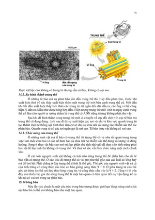 Thực vật bậc cao không có trung tử nhưng vẫn có thoi, không có sợi sao. 
14.2. Sự hình thành trung thể 
Ở những tế bào mà sự phân bào cần đến trung thể thì ở kỳ đầu phân bào, trước khi 
xuất hiện thoi vô sắc thấy xuất hiện thêm một trung thể mới bên cạnh trung thể cũ. Mới đầu 
khi bắt đầu xuất hiện thấy tiền thân các trung tử, từ ngắn đến dài dần ra, các ống vi thể cũng 
hiện rõ dần ra, kiểu như được tổng hợp dần. Hiện tượng trung thể mới sinh ra ngay cạnh trung 
thể cũ làm cho người ta tưởng nhầm là trung thể có ADN riêng nhưng không phải như vậy. 
Sau khi đã hình thành xong trung thể mới di chuyển về cực đối diện với cực tế bào mà 
trung thể cũ đang đứng. Liền sau đó là sự xuất hiện các sợi vô sắc từ khu vực quanh trung tử 
tạo thành một hệ thống sợi hình thoi làm cơ sở cho sự chia đôi số lượng các nhiễm sắc thể lúc 
phân bào. Quanh trung tử có các sợi ngắn gọi là sợi sao. Tế bào thực vật không có sợi sao. 
14.3. Chức năng của trung thể 
Ở những sinh vật mà tế bào có trung thể thì trung thể có vẻ như rất quan trọng trong 
việc làm mốc cho thoi vô sắc để đảm bảo sự chia đôi bộ nhiễm sắc thể đúng số lượng và đúng 
hướng. Song ở thực vật bậc cao nơi mà hạt phấn thụ tinh nhờ gió đã thay cho tinh trùng phải 
bơi lội để thụ tinh thì không có trung thể. Và thoi vô sắc vẫn làm chức năng một cách chính 
xác. 
Ở các loài nguyên sinh vật không có loài nào dùng trung thể để phân bào cho dù tế 
bào vẫn có trung thể. Ở các loài đó trung thể có vai trò như thể gốc của các loài có lông hay 
roi để bơi lội. Phải chăng ở đây trung thể chính là thể gốc. Thể gốc của nguyên sinh vật và cả 
của tinh trùng có công thức cấu trúc cơ bản giống công thức 9 + 0. Ở giữa trung tử của thể 
gốc có thêm hai thể sợi dọc theo lòng trung tử; và công thức cấu trúc là 9 + 2. Cũng vì lẽ trên 
đây mà nhiều tác giả cho rằng trung thể là một bào quan có liên quan đến sự vận động kể cả 
khi nó có vai trò trong sự phân bào. 
15. Không bào 
Nếu lấy tiêu chuẩn là một cấu trúc trong bào tương được giới hạn bằng màng sinh chất 
nội bào thì có thể coi không bào như một bào quan. 
76 
 