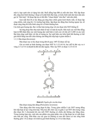 109 
một ít, hẹp cạnh nên có dạng kéo dài. Ruồi đồng hợp BB có mắt nhỏ hơn. Nếu lặp đoạn 
đôi, tăng hơn bình thưòng 2 đoạn sẽ là đột biến Bar kép, có kiểu hình mắt nhỏ hơn nữa nên 
gọi là "thỏi kép". Số đoạn lặp lại có thể đến 7 đoạn thành "siêu Bar" mắt nhỏ nhất. 
Gen mắt thỏi B có tác động gia tăng theo chiều giảm kích thước mắt, số đoạn lặp 
càng nhiều, mắt càng bé. Có trường hợp khác, lặp đoạn tác động theo hướng ngược lại, số 
đoạn càng tăng thì kiểu hình càng trở về bình thường hơn. 
Các kiểu gen hoang dại, Bar và Bar kép tương ứng với các đoạn trên NST khổng lồ 
Sự tăng đoạn Bar như một nhân tố trội về mặt di truyền. Khi nuôi các ruồi Bar đồng 
hợp tử BB nhận thấy các ruồi hoang dại xuất hiện ở ruồi con với tần số1/1.600 và các ruồi 
Bar kép cũng xuất hiện với tần số tương tự. Sự xuất hiện các kiểu hình bất thường có thể 
giải thích bằng trao đổi chéo không cân bằng khi tiếp hợp ở giảm nhiễm I. 
1.1.3. Đảo đoạn (Inversion) 
Đảo đoạn xảy ra lúc đoạn trong đứt đi quay 1800 rồi được nối lại. 
Giả sử trình tự bình thường của đoạn NST là 1-2-3-4-5-6, hai chỗ bị đứt xảy ra ở 
vùng 2-3 và 5-6 và đoanh bị đứt nối đảo ngược. Như vậy NST có đoạn 1-2-5-4-3-6 
Hình 6.9. Nguồn gốc của đảo đoạn 
Đảo đoạn mang tâm động (Pericentric inversion) 
Tâm động nằm bên trong đoạn bị đảo. Trong giảm nhiễm I các NST tương đồng 
khi tiếp hợp sẽ tạo vòng tròn kép. Nếu trao đổi chéo xảy ra giữa 2 sợi NST đơn trong vùng 
đảo đoạn thì 2 chromatid đó của mỗi NST thường có chiều dài không cân bằng nhau. 
Trong trường hợp này, một nữa sản phẩm của giảm phân vừa có lặp đoạn lại có mất đoạn 
nên mất sức sống. Nữa khác của các giao tử (không có trao đổi chéo) có sức sống bình 
thường gồm 1/4 có đoạn với trình tự gen bình thường và 1/4 có đảo đoạn. 
 