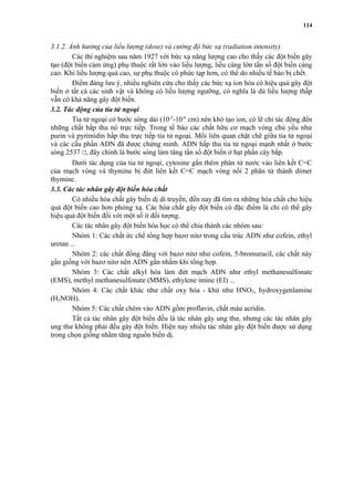 3.1.2. Ảnh hưởng của liều lượng (dose) và cường độ bức xạ (radiation intensity) 
114 
Các thí nghiệm sau năm 1927 với bức xạ năng lượng cao cho thấy các đột biến gây 
tạo (đột biến cảm ứng) phụ thuộc rất lớn vào liều lượng, liều càng lớn tần số đột biến càng 
cao. Khi liều lượng quá cao, sự phụ thuộc có phức tạp hơn, có thể do nhiều tế bào bị chết. 
Điểm đáng lưu ý, nhiều nghiên cứu cho thấy các bức xạ ion hóa có hiệu quả gây đột 
biến ở tất cả các sinh vật và không có liều lượng ngưỡng, có nghĩa là dù liều lượng thấp 
vẫn có khả năng gây đột biến. 
3.2. Tác động của tia tử ngoại 
Tia tử ngoại có bước sóng dài (10-5-10-6 cm) nên khó tạo ion, có lẽ chỉ tác động đến 
những chất hấp thu nó trực tiếp. Trong tế bào các chất hữu cơ mạch vòng chủ yếu như 
purin và pyrimidin hấp thu trực tiếp tia tử ngoại. Mối liên quan chặt chẽ giữa tia tử ngoại 
và các cấu phần ADN đã được chứng minh. ADN hấp thu tia tử ngoại mạnh nhất ở bước 
sóng 2537 Ơ, đây chính là bước sóng làm tăng tần số đột biến ở hạt phấn cây bắp. 
Dưới tác dụng của tia tử ngoại, cytosine gắn thêm phân tử nước vào liên kết C=C 
của mạch vòng và thymine bị đứt liên kết C=C mạch vòng nối 2 phân tử thành dimer 
thymine. 
3.3. Các tác nhân gây đột biến hóa chất 
Có nhiều hóa chất gây biến dị di truyền, đến nay đã tìm ra những hóa chất cho hiệu 
quả đột biến cao hơn phóng xạ. Các hóa chất gây đột biến có đặc điểm là chỉ có thể gây 
hiệu quả đột biến đối với một số ít đối tượng. 
Các tác nhân gây đột biến hóa học có thể chia thành các nhóm sau: 
Nhóm 1: Các chất ức chế tổng hợp bazơ nitơ trong cấu trúc ADN như cofein, ethyl 
uretan ... 
Nhóm 2: các chất đồng đẳng với bazơ nitơ như cofein, 5-bromuracil, các chất này 
gần giống với bazơ nitơ nên ADN gắn nhầm khi tổng hợp. 
Nhóm 3: Các chất alkyl hóa làm đứt mạch ADN như ethyl methanesulfonate 
(EMS), methyl methanesulfonate (MMS), ethylene imine (EI) ... 
Nhóm 4: Các chất khác như chất oxy hóa - khử như HNO2, hydroxygenlamine 
(H2NOH). 
Nhóm 5: Các chất chêm vào ADN gồm proflavin, chất màu acridin. 
Tất cả tác nhân gây đột biến đều là tác nhân gây ung thư, nhưng các tác nhân gây 
ung thư không phải đều gây đột biến. Hiện nay nhiều tác nhân gây đột biến được sử dụng 
trong chọn giống nhằm tăng nguồn biến dị. 
 
