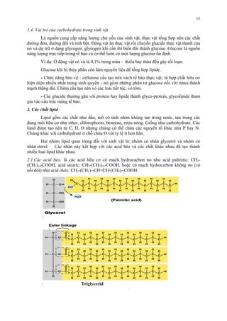 1.4. Vai trò của carbohydrate trong sinh vật 
15 
Là nguồn cung cấp năng lượng chủ yếu của sinh vật, thực vật tổng hợp nên các chất 
đường đơn, đường đôi và tinh bột. Động vật ăn thực vật rồi chuyển glucide thực vật thành của 
nó và dự trữ ở dạng glycogen, glycogen khi cần thì biến đổi thành glucose. Glucose là nguồn 
năng lượng trực tiếp trong tế bào và cơ thể luôn có một lượng glucose ổn định. 
Ví dụ: Ở động vật có vú là 0,1% trong máu - thiếu hay thừa đều gây rối loạn. 
Glucose khi bị thủy phân còn làm nguyên liệu để tổng hợp lipide. 
- Chức năng bảo vệ : cellulose cấu tạo nên vách tế bào thực vật, là hơp chất hưu cơ 
hiện diện nhiêu nhất trong sinh quyên - nó gồm nhưng phân tử glucose nối với nhau thành 
mạch thẳng dài. Chitin cấu tạo nên vỏ các loài tiết túc, vỏ tôm. 
- Các glucide thường gắn với protein hay lipide thành glyco-protein, glycolipide tham 
gia vào cấu trúc màng tế bào. 
2. Các chất lipid 
Lipid gồm các chất như dầu, mỡ có tính nhờn không tan trong nước, tan trong các 
dung môi hữu cơ như ether, chlorophorm, benzene, rượu nóng. Giống như carbohydrate. Các 
lipid được tạo nên từ C, H, O nhưng chúng có thể chứa các nguyên tố khác như P hay N. 
Chúng khác với carbohydrate ở chỗ chứa O với tỷ lệ ít hơn hẳn. 
Hai nhóm lipid quan trọng đối với sinh vật là: nhóm có nhân glycerol và nhóm có 
nhân sterol. Các nhân này kết hợp với các acid béo và các chất khác nhau để tạo thành 
nhiều loại lipid khác nhau. 
2.1.Các acid béo: là các acid hữu cơ có mạch hydrocacbon no như acid palmitic: CH3- 
(CH2)14-COOH, acid stearic: CH3-(CH2)16-COOH, hoặc có mạch hydrocarbon không no (có 
nối đôi) như acid oleic: CH3-(CH2)7-CH=CH-(CH2)7-COOH. 
Triglycerid 
 