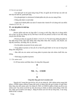 2.5.Vai trò của Lipid 
17 
- Các lipid giữ vai trò quan trọng trong tế bào, là nguồn dự trữ dài hạn của sinh vật 
như lớp mỡ dưới da, quanh phủ tạng. 
- Các phospholipid và cholesterol là thành phần chủ yếu của các màng tế bào. 
- Chống mất nhiệt và cách nhiệt 
- Lipid còn là thành phần của một số vitamin như vitamin D và là dung môi của nhiều 
vitamin (A, D, E, K, ...) 
IV. các đại phân tử sinh học 
1. Protein 
Protein chiếm một nửa các hợp chất C có trong cơ thể sống. Mặc dù có chung nhiều 
nét cơ bản; sự cấu tạo chúng cực kỳ linh hoạt và do đó các protein cá biệt có các chức năng 
chuyên hóa rất khác nhau. 
- Protein có chứa các nguyên tố chính: C, H, O, N, S, P là một trong những đại phân tử 
lớn nhất trong tế bào, thực hiện nhiều chức năng khác nhau như: enzyme, vận chuyển, các 
tiếp thể, hormone, vận động, bảo vệ, cấu trúc... 
- Các đơn phân của protein là các amino acid. 
- Trong phân tử protein có hai yếu tố cơ bản để quyết định vai trò của nó trong hoạt 
động chức năng đó là: 
+ Bản chất của các amino acid trong phân tử protein dựa trên nhóm chuỗi bên của 
chúng. 
+ Hình dạng của phân tử protein. 
1.1. Các amino acid 
Có 20 loại amino acid khác nhau với công thức tổng quát: 
H 
NH2 Ca 
COOH 
R 
Công thưc tông quat cua L-a-amino acid 
Nguyên tử C trung tâm (gọi là Cα), nối với các nhóm H, -NH2 (nhóm amine mang tính 
kiềm), -COOH (nhóm carboxyl mang tính acid) và nhóm biến đổi gọi là nhóm -R (gốc bên) 
khác nhau cho mỗi amino acid. Các nhóm H, NH2 và COOH là phần cố định của tất cả các 
amino acid. Các amino acid tồn tại chu yếu trong tự nhiên có nhóm amine đứng ơ bên trái 
truc, đươc goi là amino acid dạng L. Dạng D-amino acid chi tồn tại riêng biệt, vi du trong 
thành tế bào vi khuân. 
Ví dụ : 
 