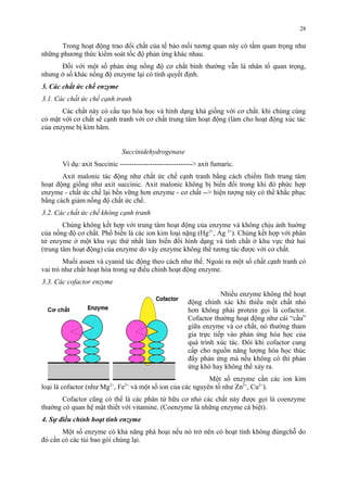 Trong hoạt động trao đổi chất của tế bào mối tương quan này có tầm quan trọng như 
những phương thức kiểm soát tốc độ phản ứng khác nhau. 
Đối với một số phản ứng nồng độ cơ chất bình thường vẫn là nhân tố quan trọng, 
nhưng ở số khác nồng độ enzyme lại có tính quyết định. 
3. Các chất ức chế enzyme 
3.1. Các chất ức chế cạnh tranh 
Các chất này có cấu tạo hóa học và hình dạng khá giống với cơ chất. khi chúng cùng 
có mặt với cơ chất sẽ cạnh tranh với cơ chất trung tâm hoạt động (làm cho hoạt động xúc tác 
của enzyme bị kìm hãm. 
Succinidehydrogenase 
Ví dụ: axit Succinic -------------------------------> axit fumaric. 
Axit malonic tác động như chất ức chế cạnh tranh bằng cách chiếm lĩnh trung tâm 
hoạt động giống như axit succinic. Axit malonic không bị biến đổi trong khi đó phức hợp 
enzyme - chất ức chế lại bền vững hơn enzyme - cơ chất --> hiện tượng này có thể khắc phục 
bằng cách giảm nồng độ chất ức chế. 
3.2. Các chất ức chế không cạnh tranh 
Chúng không kết hợp với trung tâm hoạt động của enzyme và không chịu ảnh huởng 
của nồng độ cơ chất. Phổ biến là các ion kim loại nặng (Hg2+, Ag 2+). Chúng kết hợp với phân 
tử enzyme ở một khu vực thứ nhất làm biến đổi hình dạng và tính chất ở khu vực thứ hai 
(trung tâm hoạt động) của enzyme do vậy enzyme không thể tương tác được với cơ chất. 
Muối assen và cyanid tác động theo cách như thế. Ngoài ra một số chất cạnh tranh có 
vai trò như chất hoạt hóa trong sự điều chỉnh hoạt động enzyme. 
3.3. Các cofactor enzyme 
Nhiều enzyme không thể hoạt 
động chính xác khi thiếu một chất nhỏ 
hơn không phải protein gọi là cofactor. 
Cofactor thường hoạt động như cái “cầu” 
giữa enzyme và cơ chất, nó thường tham 
gia trực tiếp vào phản ứng hóa học của 
quá trình xúc tác. Đôi khi cofactor cung 
cấp cho nguồn năng lượng hóa học thúc 
đẩy phản ứng mà nếu không có thì phản 
ứng khó hay không thể xảy ra. 
Một số enzyme cần các ion kim 
loại là cofactor (như Mg2+, Fe2+ và một số ion của các nguyên tố như Zn2+, Cu2+). 
Cofactor cũng có thể là các phân tử hữu cơ nhỏ các chất này được gọi là coenzyme 
thường có quan hệ mật thiết với vitamine. (Coenzyme là những enzyme cá biệt). 
4. Sự điều chỉnh hoạt tính enzyme 
Một số enzyme có khả năng phá hoại nếu nó trở nên có hoạt tính không đúngchỗ do 
đó cần có các túi bao gói chúng lại. 
28 
Cơ chất 
 
