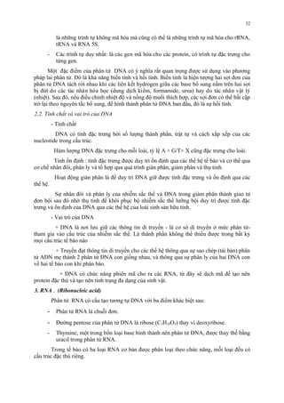 là nhưng trinh tự không ma hóa mà cung có thê là nhưng trinh tự ma hóa cho rRNA, 
tRNA và RNA 5S. 
- Các trinh tự duy nhất: là các gen ma hóa cho các protein, có trinh tự đăc trưng cho 
tưng gen. 
Môt đăc điêm cua phân tử DNA có y nghia rất quan trong đươc sử dung vào phương 
pháp lai phân tử. Đó là khả năng biến tinh và hồi tinh. Biến tinh là hiện tương hai sơi đơn cua 
phân tử DNA tách rơi nhau khi các liên kết hydrogen giưa các base bô sung năm trên hai sơi 
bi đứt do các tác nhân hóa hoc (dung dich kiêm, formamide, urea) hay do tác nhân vật ly 
(nhiệt). Sau đó, nếu điêu chinh nhiệt đô và nồng đô muối thich hơp, các sơi đơn có thê băt căp 
trơ lại theo nguyên tăc bô sung, đê hinh thành phân tử DNA ban đâu, đó là sự hồi tinh. 
2.2. Tính chất và vai trò của DNA 
- Tính chất 
DNA có tính đặc trưng bởi số lượng thành phần, trật tự và cách xắp xếp của các 
nucleotide trong cấu trúc. 
Hàm lượng DNA đặc trưng cho mỗi loài, tỷ lệ A + G/T+ X cũng đặc trưng cho loài. 
Tính ổn định : tính đặc trưng được duy trì ổn định qua các thế hệ tế bào và cơ thể qua 
cơ chế nhân đôi, phân ly và tổ hợp qua quá trình gián phân, giảm phân và thụ tinh. 
Hoạt động gián phân là để duy trì DNA giữ được tính đặc trưng và ổn định qua các 
thế hệ. 
Sự nhân đôi và phân ly của nhiễm sắc thể và DNA trong giảm phân thành giao tử 
đơn bội sau đó nhờ thụ tinh để khôi phục bộ nhiễm sắc thể lưỡng bội duy trì được tính đặc 
trưng và ổn định của DNA qua các thế hệ của loài sinh sản hữu tính. 
- Vai trò của DNA 
+ DNA là nơi lưu giữ các thông tin di truyền - là cơ sở di truyền ở mức phân tử- 
tham gia vào cấu trúc của nhiễm sắc thể. Là thành phần không thể thiếu được trong bất kỳ 
mọi cấu trúc tế bào nào 
+ Truyền đạt thông tin di truyền cho các thế hệ thông qua sự sao chép (tái bản) phân 
tử ADN mẹ thành 2 phân tử DNA con giống nhau, và thông qua sự phân ly của hai DNA con 
về hai tế bào con khi phân bào. 
+ DNA có chức năng phiên mã cho ra các RNA, từ đây sẽ dịch mã để tạo nên 
protein đặc thù và tạo nên tính trạng đa dạng của sinh vật. 
3. RNA - (Ribonucleic acid) 
Phân tử RNA có cấu tạo tương tự DNA với ba điêm khác biệt sau: 
- Phân tử RNA là chuôi đơn. 
- Đương pentose cua phân tử DNA là ribose (C5H10O5) thay vi deoxyribose. 
- Thymine, môt trong bốn loại base hinh thành nên phân tử DNA, đươc thay thế băng 
uracil trong phân tử RNA. 
Trong tế bào có ba loại RNA cơ bản đưọc phân loại theo chức năng, mỗi loại đều có 
cấu trúc đặc thù riêng. 
32 
 