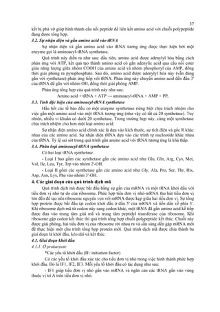 kết bị phá vỡ giúp hình thành cầu nối peptide để liên kết amino acid với chuỗi polypeptide 
đang được tổng hợp. 
3.2. Sự nhận diện và gắn amino acid vào tRNA 
Sự nhận diện và gắn amino acid vào tRNA tương ứng được thực hiện bởi một 
enzyme gọi là aminoacyl-tRNA synthetase. 
Quá trình này diễn ra như sau: đầu tiên, amino acid được adenylyl hóa bằng cách 
phản ứng với ATP, kết quả tạo thành amino acid có gắn adenylic acid qua cầu nối ester 
giàu năng lượng giữa nhóm COOH của amino acid và nhóm phosphoryl của AMP, đồng 
thời giải phóng ra pyrophosphate. Sau đó, amino acid được adenylyl hóa này (vẫn đang 
gắn với synthetase) phản ứng tiếp với tRNA. Phản ứng này chuyển amino acid đến đầu 3' 
của tRNA để gắn với nhóm OH, đồng thời giải phóng AMP. 
Phản ứng tổng hợp của quá trình này như sau: 
Amino acid + tRNA + ATP → aminoacyl-tRNA + AMP + PPi 
3.3. Tính đặc hiệu của aminoacyl-tRNA synthetase 
Hầu hết các tế bào đều có một enzyme synthetase riêng biệt chịu trách nhiệm cho 
việc gắn một amino acid vào một tRNA tương ứng (như vậy có tất cả 20 synthetase). Tuy 
nhiên, nhiều vi khuẩn có dưới 20 synthetase. Trong trường hợp này, cùng một synthetase 
chịu trách nhiệm cho hơn một loại amino acid. 
Sự nhận diện amino acid chính xác là dựa vào kích thước, sự tích điện và gốc R khác 
nhau của các amino acid. Sự nhận diện tRNA dựa vào các trình tự nucleotide khác nhau 
của tRNA. Tỷ lệ sai sót trong quá trình gắn amino acid với tRNA tương ứng là khá thấp. 
3.4. Phân loại aminoacyl-tRNA synthetase 
Có hai loại tRNA synthetase. 
- Loại I bao gồm các synthetase gắn các amino acid như Glu, Gln, Arg, Cys, Met, 
Val, Ile, Leu, Tyr, Trp vào nhóm 2'-OH. 
- Loại II gồm các synthetase gắn các amino acid như Gly, Ala, Pro, Ser, Thr, His, 
Asp, Asn, Lys, Phe vào nhóm 3'-OH. 
4. Các giai đoạn của quá trình dịch mã 
Quá trình dịch mã được bắt đầu bằng sự gắn của mRNA và một tRNA khởi đầu với 
tiểu đơn vị nhỏ tự do của ribosome. Phức hợp tiểu đơn vị nhỏ-mRNA thu hút tiểu đơn vị 
lớn đến để tạo nên ribosome nguyên vẹn với mRNA được kẹp giữa hai tiểu đơn vị. Sự tổng 
hợp protein được bắt đầu tại codon khởi đầu ở đầu 5' của mRNA và tiến dần về phía 3'. 
Khi ribosome dịch mã từ codon này sang codon khác, một tRNA đã gắn amino acid kế tiếp 
được đưa vào trung tâm giải mã và trung tâm peptidyl transferase của ribosome. Khi 
ribosome gặp codon kết thúc thì quá trình tổng hợp chuỗi polypeptide kết thúc. Chuỗi này 
được giải phóng, hai tiểu đơn vị của ribosome rời nhau ra và sẵn sàng đến gặp mRNA mới 
để thực hiện một chu trình tổng hợp protein mới. Quá trình dịch mã được chia thành ba 
giai đoạn là khởi đầu, kéo dài và kết thúc. 
4.1. Giai đoạn khởi đầu 
4.1.1. Ở prokaryote 
*Các yếu tố khởi đầu (IF: initiation factor) 
Có các yếu tố khởi đầu xúc tác cho tiểu đơn vị nhỏ trong việc hình thành phức hợp 
khởi đầu. Đó là IF1, IF2, IF3. Mỗi yếu tố khởi đầu có tác dụng như sau: 
- IF1 giúp tiểu đơn vị nhỏ gắn vào mRNA và ngăn cản các tRNA gắn vào vùng 
thuộc vị trí A trên tiểu đơn vị nhỏ. 
37 
 