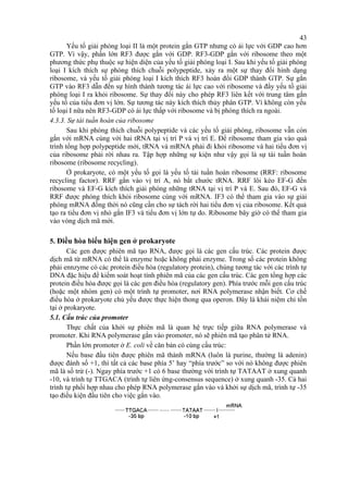 43 
Yếu tố giải phóng loại II là một protein gắn GTP nhưng có ái lực với GDP cao hơn 
GTP. Vì vậy, phần lớn RF3 được gắn với GDP. RF3-GDP gắn với ribosome theo một 
phương thức phụ thuộc sự hiện diện của yếu tố giải phóng loại I. Sau khi yếu tố giải phóng 
loại I kích thích sự phóng thích chuỗi polypeptide, xảy ra một sự thay đổi hình dạng 
ribosome, và yếu tố giải phóng loại I kích thích RF3 hoán đổi GDP thành GTP. Sự gắn 
GTP vào RF3 dẫn đến sự hình thành tương tác ái lực cao với ribosome và đẩy yếu tố giải 
phóng loại I ra khỏi ribosome. Sự thay đổi này cho phép RF3 liên kết với trung tâm gắn 
yếu tố của tiểu đơn vị lớn. Sự tương tác này kích thích thủy phân GTP. Vì không còn yếu 
tố loại I nữa nên RF3-GDP có ái lực thấp với ribosome và bị phóng thích ra ngoài. 
4.3.3. Sự tái tuần hoàn của ribosome 
Sau khi phóng thích chuỗi polypeptide và các yếu tố giải phóng, ribosome vẫn còn 
gắn với mRNA cùng với hai tRNA tại vị trí P và vị trí E. Để ribosome tham gia vào quá 
trình tổng hợp polypeptide mới, tRNA và mRNA phải đi khỏi ribosome và hai tiểu đơn vị 
của ribosome phải rời nhau ra. Tập hợp những sự kiện như vậy gọi là sự tái tuần hoàn 
ribosome (ribosome recycling). 
Ở prokaryote, có một yếu tố gọi là yếu tố tái tuần hoàn ribosome (RRF: ribosome 
recycling factor). RRF gắn vào vị trí A, nó bắt chước tRNA. RRF lôi kéo EF-G đến 
ribosome và EF-G kích thích giải phóng những tRNA tại vị trí P và E. Sau đó, EF-G và 
RRF được phóng thích khỏi ribosome cùng với mRNA. IF3 có thể tham gia vào sự giải 
phóng mRNA đồng thời nó cũng cần cho sự tách rời hai tiểu đơn vị của ribosome. Kết quả 
tạo ra tiểu đơn vị nhỏ gắn IF3 và tiểu đơn vị lớn tự do. Ribosome bây giờ có thể tham gia 
vào vòng dịch mã mới. 
5. Điều hòa biểu hiện gen ở prokaryote 
Các gen được phiên mã tạo RNA, được gọi là các gen cấu trúc. Các protein được 
dịch mã từ mRNA có thể là enzyme hoặc không phải enzyme. Trong số các protein không 
phải ennzyme có các protein điều hòa (regulatory protein), chúng tương tác với các trình tự 
DNA đặc hiệu để kiểm soát hoạt tính phiên mã của các gen cấu trúc. Các gen tổng hợp các 
protein điều hòa được gọi là các gen điều hòa (regulatory gen). Phía trước mỗi gen cấu trúc 
(hoặc một nhóm gen) có một trình tự promoter, nơi RNA polymerase nhận biết. Cơ chế 
điều hòa ở prokaryote chủ yếu được thực hiện thong qua operon. Đây là khái niệm chỉ tồn 
tại ở prokaryote. 
5.1. Cấu trúc của promoter 
Thực chất của khởi sự phiên mã là quan hệ trực tiếp giữa RNA polymerase và 
promoter. Khi RNA polymerase gắn vào promoter, nó sẽ phiên mã tạo phân tử RNA. 
Phần lớn promoter ở E. coli về căn bản có cùng cấu trúc: 
Nếu base đầu tiên được phiên mã thành mRNA (luôn là purine, thường là adenin) 
được đánh số +1, thì tất cả các base phía 5’ hay “phía trước” so với nó không được phiên 
mã là số trừ (-). Ngay phía trước +1 có 6 base thường với trình tự TATAAT ở xung quanh 
-10, và trình tự TTGACA (trình tự liên ứng-consensus sequence) ở xung quanh -35. Cả hai 
trình tự phối hợp nhau cho phép RNA polymerase gắn vào và khởi sự dịch mã, trình tự -35 
tạo điều kiện đầu tiên cho việc gắn vào. 
 