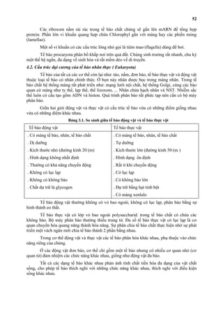52 
Các riboxom nằm rải rác trong tế bào chất chúng sẽ gắn lên mARN để tổng hợp 
protein. Phần lớn vi khuẩn quang hợp chứa Chlorophyl gắn với màng hay các phiến mỏng 
(lamellae). 
Một số vi khuẩn có các cấu trúc lông nhỏ gọi là tiêm mao (flagella) dùng để bơi. 
Tế bào procaryota phân bố khắp nơi trên quả đất. Chúng sinh trưởng rất nhanh, chu kỳ 
một thế hệ ngắn, đa dạng về sinh hóa và rất mềm dẻo về di truyền. 
4.2. Cấu trúc đại cương của tế bào nhân thực ( Eukaryota) 
Tế bào của tất cả các cơ thể còn lại như: tảo, nấm, đơn bào, tế bào thực vật và động vật 
thuộc loại tế bào có nhân chính thức. Ở bọn này nhân được bọc trong màng nhân. Trong tế 
bào chất hệ thống màng rất phát triển như: mạng lưới nội chất, hệ thống Golgi, cùng các bào 
quan có màng như ty thể, lạp thể, thể lizoxom, ... Nhân chứa hạch nhân và NST. Nhiễm sắc 
thể luôn có cấu tạo gồm ADN và histon. Quá trình phân bào rất phức tạp nên cần có bộ máy 
phân bào. 
Giữa hai giói động vật và thực vật có cấu trúc tế bào vừa có những điểm giống nhau 
vừa có những điểm khác nhau. 
Bảng 3.1. So sánh giữa tế bào động vật và tế bào thực vật 
Tế bào động vật Tế bào thực vật 
. Có màng tế bào, nhân, tế bào chất 
. Dị dưỡng 
. Kích thước nhỏ (đường kính 20 (m) 
. Hình dạng không nhất định 
. Thường có khả năng chuyển động 
. Không có lục lạp 
. Không có không bào 
. Chất dự trữ là glycogen 
. Có màng tế bào, nhân, tế bào chất 
. Tự dưỡng 
. Kích thước lớn (đường kính 50 (m ) 
. Hình dạng ổn định 
. Rất ít khi chuyển động 
. Có lục lạp 
. Có không bào lớn 
. Dự trữ bằng hạt tinh bột 
. Có màng xenlulo 
Tế bào động vật thường không có vỏ bao ngoài, không có lục lạp, phân bào bằng sự 
hình thành eo thắt. 
Tế bào thực vật có lớp vỏ bao ngoài polysaccharid. trong tế bào chất có chứa các 
không bào. Bộ máy phân bào thường thiếu trung tử. Đa số tế bào thực vật có lục lạp là cơ 
quan chuyển hóa quang năng thành hóa năng. Sự phân chia tế bào chất thực hiện nhờ sự phát 
triển một vách ngăn mới chia tế bào thành 2 phần bằng nhau. 
Trong cơ thể động vật và thực vật các tế bào phân hóa khác nhau, phụ thuộc vào chức 
năng riêng của chúng. 
Ở các động vật đơn bào, cơ thể chỉ gồm một tế bào nhưng có nhiều cơ quan nhỏ (cơ 
quan tử) đảm nhiệm các chức năng khác nhau, giống như động vật đa bào. 
Tất cả các dạng tế bào khác nhau phản ảnh tính chất tiến hóa đa dạng của vật chất 
sống, cho phép tế bào thích nghi với những chức năng khác nhau, thích nghi với điều kiện 
sống khác nhau. 
 