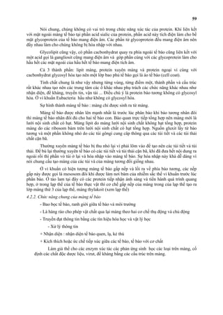 Nói chung, chúng không có vai trò trong chức năng xúc tác của protein. Khi liên kết 
với mặt ngoài màng tế bào tại phần acid sialic của protein, phần acid này tích điện làm cho bề 
mặt glycoprotein của tế bào mang điện âm. Các phần tử glycoprotein đều mang điện âm nên 
đẩy nhau làm cho chúng không bị hòa nhập với nhau. 
Glycolipit cũng vậy, có phần cacbonhydrat quay ra phía ngoài tế bào cũng liên kết với 
một acid gọi là gangliosit cũng mang điện âm và góp phần cùng với các glycoprotein làm cho 
hầu hết các mặt ngoài của hầu hết tế bào mang điện tích âm. 
Cả 3 thành phần: lipit màng, protein xuyên màng và protein ngoại vi cùng với 
cacbonhydrat glycosyl hóa tạo nên một lớp bao phủ tế bào gọi là áo tế bào (cell coat). 
Tính chất chung là như vậy nhưng từng vùng, từng điểm một, thành phần và cấu trúc 
rất khác nhau tạo nên các trung tâm các ổ khác nhau phụ trách các chức năng khác nhau như 
nhận diện, đề kháng, truyền tin, vận tải ... Điều chú ý là protein bào tương không có glycosyl 
hóa. Ở vi khuẩn Eubacteria hầu như không có glycosyl hóa. 
Sự hình thành màng tế bào : màng chỉ được sinh ra từ màng. 
Màng tế bào được nhân lên mạnh nhất là trước lúc phân bào khi bào tương nhân đôi 
thì màng tế bào nhân đôi đủ cho hai tế bào con. Bào quan trực tiếp tổng hợp nên màng mới là 
lưới nội sinh chất có hạt. Màng lipit do màng lưới nội sinh chất không hạt tổng hợp, protein 
màng do các ribosom bám trên lưới nội sinh chất có hạt tổng hợp. Nguồn gluxit lấy từ bào 
tương và một phần không nhỏ do các túi gôngi cung câp thông qua các túi tiết và các túi thải 
chất cặn bã. 
Thường xuyên màng tế bào bị thu nhỏ lại vì phải lõm vào để tạo nên các túi tiết và túi 
thải. Để bù lại thường xuyên tế bào có các túi tiết và túi thải cặn bã, khi đã đưa hết nội dung ra 
ngoài rồi thì phần vỏ túi ở lại và hòa nhập vào màng tế bào. Sự hòa nhập này khá dễ dàng vì 
nói chung cấu tạo màng của các túi và của màng tương đối giống nhau. 
Ở vi khuẩn có hiện tượng màng tế bào gấp nếp và lồi ra về phía bào tương, các nếp 
gấp này được gọi là mesosom đôi khi được làm nơi bám của nhiễm sắc thể vi khuẩn trước lúc 
phân bào. Ở tảo lam tại đây có các protein tiếp nhận ánh sáng và tiến hành quá trình quang 
hợp, ở trong lạp thể của tế bào thực vật thì cơ chế gấp nếp của màng trong của lạp thể tạo ra 
lớp màng thứ 3 của lạp thể, màng thylakoit (xem lạp thể) 
4.2.2. Chức năng chung của màng tế bào 
- Bao bọc tế bào, ranh giới giữa tế bào và môi trường 
- Là hàng rào cho phép vật chất qua lại màng theo hai cơ chế thụ động và chủ động 
- Truyền đạt thông tin bằng các tín hiệu hóa học và vật lý học 
- Xử lý thông tin 
+ Nhận diện : nhận diện tế bào quen, lạ, kẻ thù 
+ Kích thích hoặc ức chế tiếp xúc giữa các tế bào, tế bào với cơ chất 
Làm giá thể cho các enzym xúc tác các phản ứng sinh học các loại trên màng, cố 
định các chất độc dược liệu, virut, đề kháng bằng các cấu trúc trên màng. 
59 
 