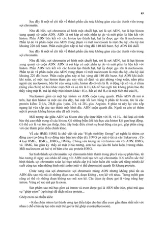 Sau đây là một số chi tiết về thành phần cấu trúc không gian của các thành viên trong 
sợi chromatin. 
Như đã biết, sợi chromatin có hình một chuỗi hạt, sợi là sợi ADN, hạt là hạt histon 
xung quanh có cuộn ADN. ADN là sợi kép có một phần tự do và một phần là liên kết với 
histon. Phần ADN liên kết với các histon tạo thành hạt, hạt ấy được gọi tên là nucleosom. 
Phần tự do và phần cuộn của ADN trong phạm vi một nucleosom là một chu kỳ, chu kỳ dài 
khoảng 220 đôi bazơ. Phần cuộn gồm xấp xỉ hai vòng dài 140 đôi bazơ. Sợi ADN khi duỗi 
Sau đây là một số chi tiết về thành phần cấu trúc không gian của các thành viên trong 
sợi chromatin. 
Như đã biết, sợi chromatin có hình một chuỗi hạt, sợi là sợi ADN, hạt là hạt histon 
xung quanh có cuộn ADN. ADN là sợi kép có một phần tự do và một phần là liên kết với 
histon. Phần ADN liên kết với các histon tạo thành hạt, hạt ấy được gọi tên là nucleosom. 
Phần tự do và phần cuộn của ADN trong phạm vi một nucleosom là một chu kỳ, chu kỳ dài 
khoảng 220 đôi bazơ. Phần cuộn gồm xấp xỉ hai vòng dài 140 đôi bazơ. Sợi ADN khi duỗi 
khi xoắn, có một loại histon tham gia vào việc cố định và giải phóng vòng xoắn, nằm phía 
ngoài các nucleosom, bên bờ của vòng xoắn, histon đó có tên là H1 ở động vật có vú, ở chim 
(hồng cầu chim) nó hơi khác một chút và có tên là H5 Khi tế bào nghỉ tức không phân bào thì 
thấy vắng mặt H1 mà lại thấy một histon khác : H1o. Rất có thể H1o là một biến thể của H1. 
Nucleosom gồm có một hạt histon và ADN cuộn xung quanh. Phần ADN đã nói ở 
trên, hạt tâm histon là một cái đĩa dày, hai mặt lồi làm bằng 8 phân tử histon, tức là các 
protein kiềm: 2H2A, 2H2B giàu lysin, 2H3 và 2H4 giàu Arginin. 8 phân tử này lại vừa xếp 
ngang lại vừa xếp dọc tạo thành một hình đĩa. ADN cuộn quanh đĩa. Ngoài ra còn có thêm 
một ít protein không histon như đã nói ở trên. 
Mối tương tác giữa ADN và histon chủ yếu thực hiện với H3 và H4. Hai loại có tính 
bảo thủ cao nhất trong số các histon. Có những biến đổi hóa học của histon khi gen hoạt động. 
Có thể coi là vai trò can thiệp, thúc đẩy hoặc điều chỉnh sự hoạt động của gen, góp phần cùng 
với các thành phần điều chỉnh khác. 
Về các HMG: HMG là chữ viết tắt của “High mobility Group” có nghĩa là nhóm cơ 
động cao (cơ động là cơ động trên bản kéo điện di). HMG có mặt ở tất cả các Eukaryota . Có 
4 loại HMG1, HMG2 , HMG14, HMG17. Chúng vừa tương tác với histon vừa với ADN. HMG1 
và HMG2 lúc gian kỳ thấy có mặt ở bào tương, còn hai loại kia thì luôn luôn ở trong nhân. 
Mỗi nucleosom có hai vị trí bám cho các protein HMG. 
Sự hình thành sợi chromatin: sợi chromatin hình thành trong pha S của sự phân bào, từ 
bào tương đi ngay vào nhân để cùng với ADN mới tạo nên sợi chromatin. Khi nhiễm sắc thể 
hình thành, sợi chromatin xoắn lại theo nhiếu cấp (và luôn luôn chỉ xoắn với riêng mình) để 
cuối cùng tạo nên những hình múi xoắn (múi vi thể chromatin) quanh lõi khung protein. 
Chức năng của sợi chromatin: sợi chromatin mang ADN nhưng không phải tất cả 
ADN đều sao mã mà có những đoạn sao mã, đoạn không , xen kẽ với nhau. Trong môñt gen 
cũng có thể có những đoạn không sao mã xen kẽ. Các đọan ấy được gọi là vùng trắng hay 
intron. Vùng có sao mã gọi là exon. 
Sản phẩm sao mã bao gồm cả intron và exon được gọi là ARN tiền thân, phải trải qua 
sự “ghép exon” (splicing) để dịch mã ra protein... 
Ghép exon có nhiều kiểu: 
- Kiểu chùn intron lại thành vòng tạo điều kiện cho hai đầu exon gần nhau nhất nối với 
nhau ( chỗ chùn ấy tạo nên một thể gọi là thể ghép exon(spliceosom). 
85 
 