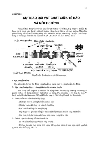 Chương 5 
SỰ TRAO ĐỔI VẬT CHẤT GIỮA TẾ BÀO 
VÀ MÔI TRƯỜNG 
Màng tế bào đóng vai trò vận chuyển vật chất ra vào tế bào, tiếp nhận và truyền đạt 
thông tin từ ngoài vào, duy trì một môi trường riêng cho tế bào so với môi trường. Màng bào 
quan thì duy trì một môi trường riêng cho bào quan so với bào tương. Sự vận chuyển qua 
màng tế bào được chia làm hai loại lớn: VẬN CHUYỂN VÀ ẨM THỰC BÀO 
1. Vận chuyển thấm 
Bao gồm vận chuyển thụ động, vận chuyển có trung gian và vận chuyển chủ động. 
1.1 Vận chuyển thụ động - còn gọi là khuếch tán đơn thuần 
Một số vật chất có phân tử nhỏ hòa tan trong nước, hòa vào lớp lipit kép của màng, đi 
qua nó rồi hòa với dung dịch nước ở phía bên kia màng. Quá trình này có rất ít sự đặc hiệu. Ví 
dụ về loại chất này là ethanol. Một số khí như oxy và CO2 cũng khuếch tán đơn thuần. 
1.1.1 Đặc điểm của vận chuyển thụ động 
- Chất vận chuyển không bị biến đổi hóa học 
- Chất ấy không kết hợp với một số chất khác 
- Vận chuyển không cần năng lượng 
- Phụ thuộc vào gradient nồng độ hay điện thế (bên cao chuyển sang bên thấp) 
- Vận chuyển là hai chiều, cân bằng giữa trong và ngoài tế bào 
1.1.2 Điều kiện ảnh hưởng đến sự khuếch tán 
- Độ lớn của chất (càng lớn qua càng chậm) 
- Độ hòa tan các chất trong lipit (càng dễ hòa tan, càng dễ qua như alcol, aldehyt, 
glycerol, các thuốc gây mê, ...) 
87 
Hình 5.1. Sơ đồ vận chuyển vật chất qua màng 
 