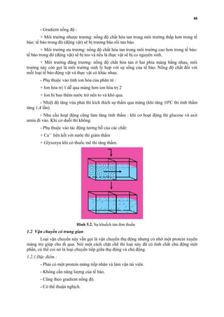 - Gradient nồng độ : 
+ Môi trường nhược trương: nồng độ chất hòa tan trong môi trường thấp hơn trong tế 
bào: tế bào trong đó (động vật) sẽ bị trương bào rồi tan bào. 
+ Môi trường ưu trương: nồng độ chất hòa tan trong môi trường cao hơn trong tế bào: 
tế bào trong đó (động vật) sẽ bị teo và nếu là thực vật sẽ bị co nguyên sinh. 
+ Môi trường đẳng trương: nồng độ chất hòa tan ở hai phía màng bằng nhau, môi 
trường này còn gọi là môi trường sinh lý hợp với sự sống của tế bào. Nồng độ chất đối với 
mỗi loại tế bào động vật và thực vật có khác nhau. 
- Phụ thuộc vào tính ion hóa của phân tử : 
+ Ion hóa trị 1 dễ qua màng hơn ion hóa trị 2 
+ Ion bị bao thêm nước trở nên to và khó qua. 
- Nhiệt độ tăng vừa phải thì kích thích sự thấm qua màng (khi tăng 100C thì tính thấm 
tăng 1,4 lần). 
- Nhu cầu hoạt động cũng làm tăng tính thấm : khi cơ hoạt động thì glucose và axit 
amin đi vào. Khi cơ duỗi thì không. 
- Phụ thuộc vào tác động tương hỗ của các chất: 
+ Ca++ liên kết với nước thì giảm thấm 
+ Glyxeryn khi có thuốc mê thì tăng thấm. 
1.2 Vận chuyển có trung gian 
Loại vận chuyển này vẫn gọi là vận chuyển thụ động nhưng có nhờ một protein xuyên 
màng trợ giúp cho đi qua. Nói một cách chặt chẽ thì loại này đã có tính chất chủ động một 
phần, có thể coi nó là loại chuyển tiếp giữa thụ động và chủ động. 
1.2.1.Đặc điểm : 
- Phải có một protein màng tiếp nhận và làm vận tải viên. 
- Không cần năng lượng của tế bào. 
- Cũng theo gradient nồng độ. 
- Có thể thuận nghịch. 
88 
Hình 5.2. Sự khuếch tán đơn thuần 
 